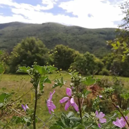 Lo Maset En Cevennes Mialet *